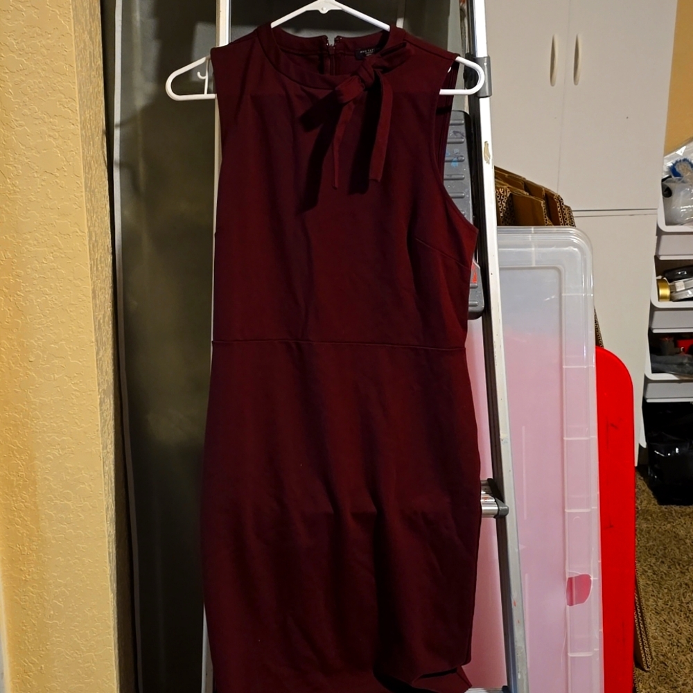 Ann Taylor Petite size 12 Maroon Dress
